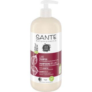 Sante FAMILY Glanz Shampoo Birkenblatt & pflanzliches Protein - 500ml